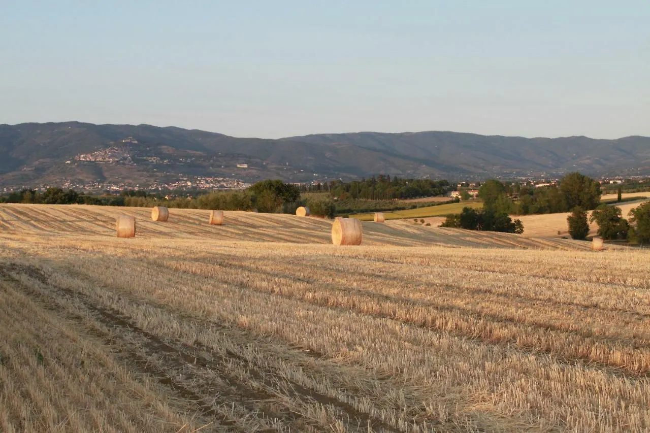 Fattoria Borgonuovo Guest House Cortona Country house