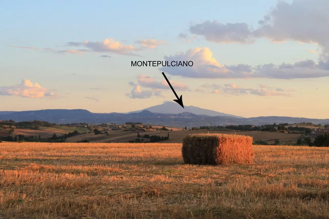 Fattoria Borgonuovo Guest House Cortona Country house