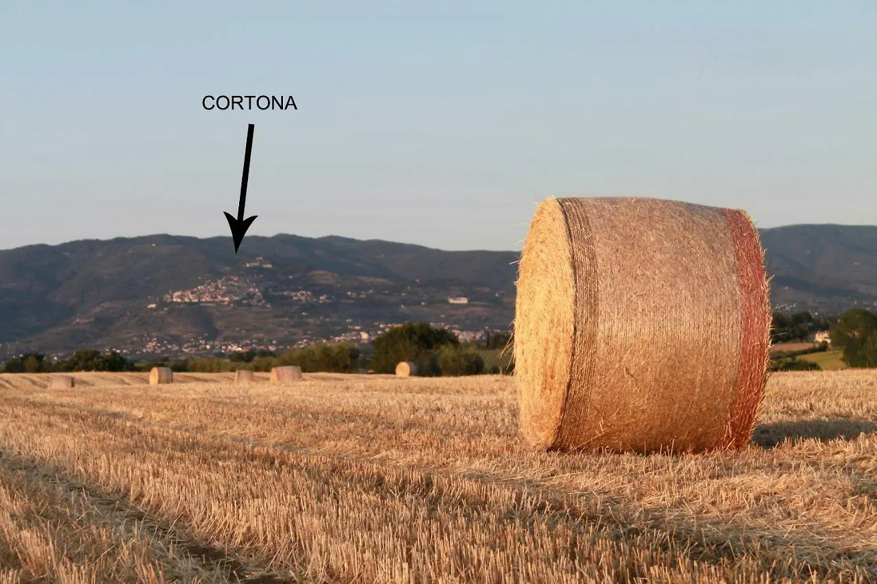 Country house Fattoria Borgonuovo Guest House Cortona Italy